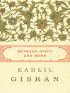 Cover image for Between Night and Morn